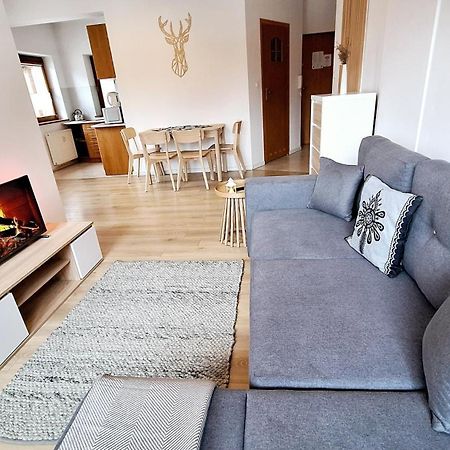 Why Not Apartament Przy Skoczni ซาโกปาเน ภายนอก รูปภาพ