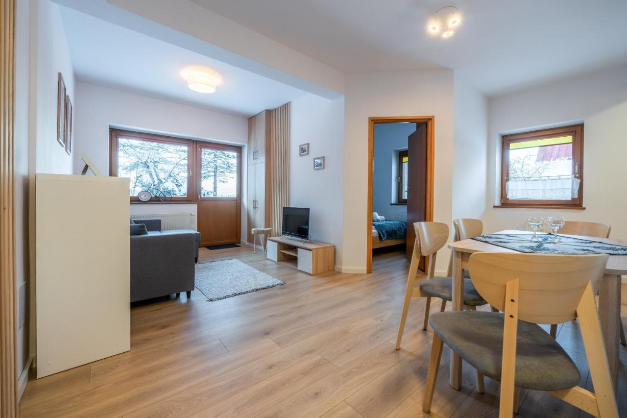 Why Not Apartament Przy Skoczni ซาโกปาเน ภายนอก รูปภาพ